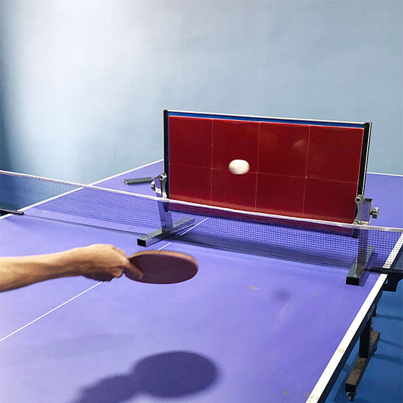 Table de tennis de table à dom - Table Tennis Trainer avis et prix